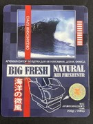 Освежитель касета под сиденье BIG FRESH-BF-61-Океан(ОРИГИНАЛ) 8000